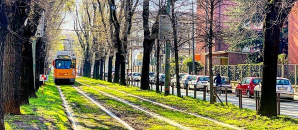 appartamento in affitto a Milano in zona Sempione
