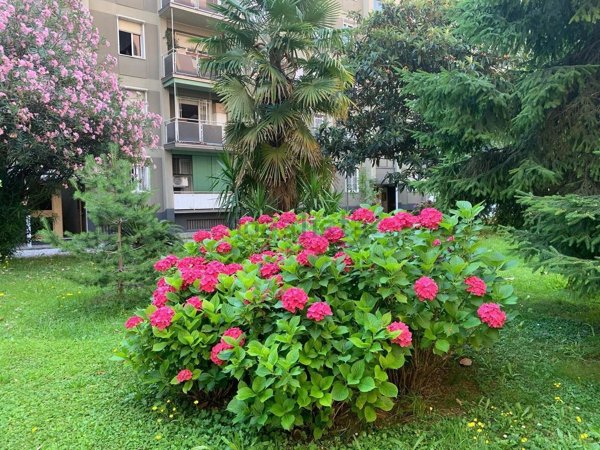appartamento in affitto a Milano in zona Il Portello