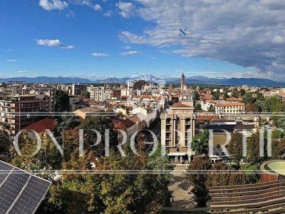 negozio in affitto a Milano