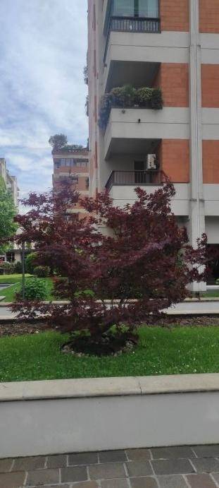 appartamento in affitto a Milano in zona Porta Romana