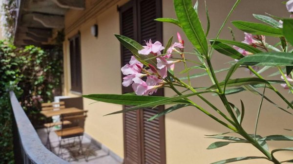 appartamento in affitto a Milano in zona Brera