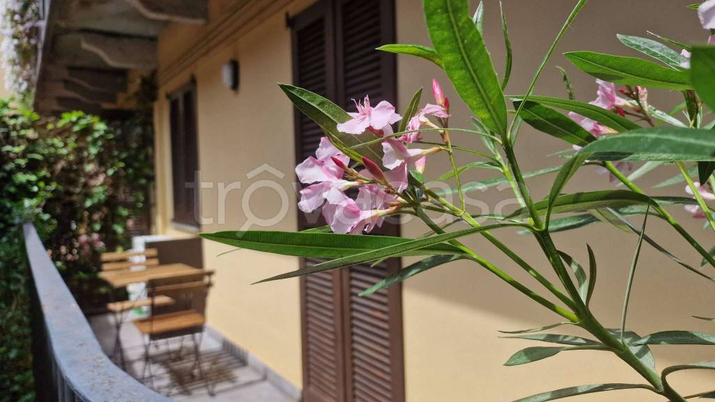 appartamento in affitto a Milano in zona Brera