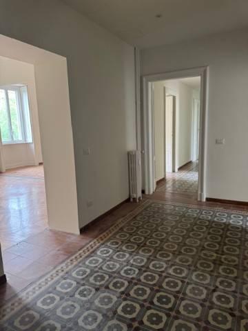 appartamento in affitto a Milano in zona Città Studi