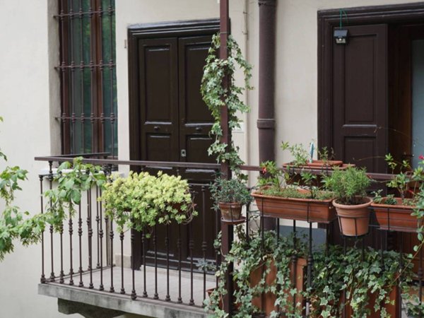 appartamento in affitto a Milano in zona Sempione