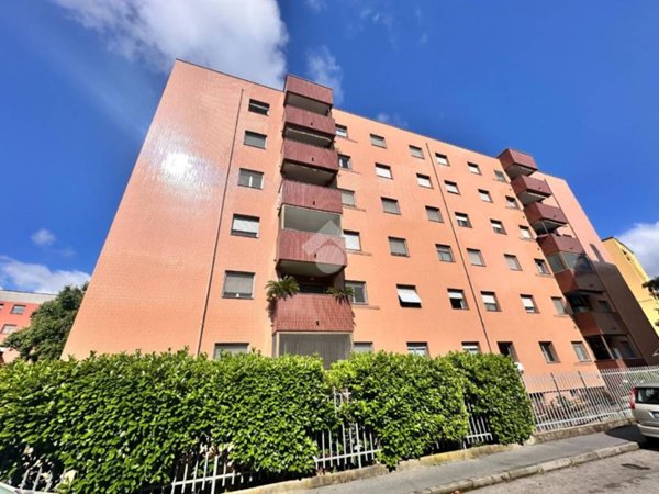 appartamento in affitto a Milano in zona Trenno