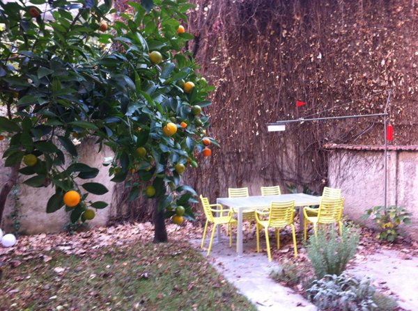 appartamento in affitto a Milano in zona Isola