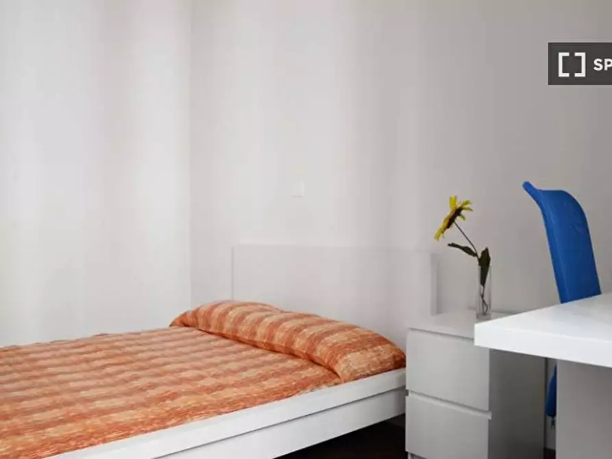 appartamento in affitto a Milano in zona Città Studi
