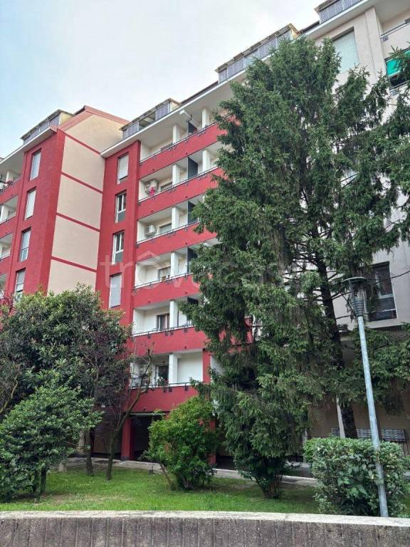 appartamento in affitto a Milano in zona Famagosta