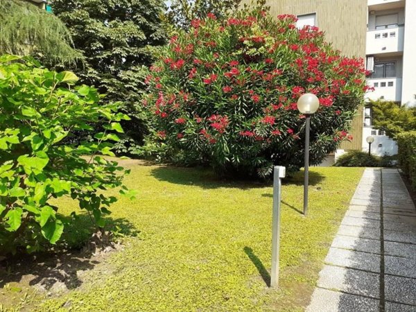 appartamento in affitto a Milano in zona Bovisa