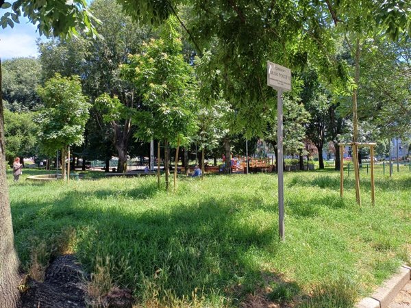 appartamento in affitto a Milano in zona Loreto