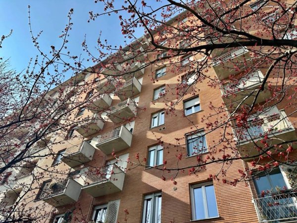 appartamento in affitto a Milano in zona Solari