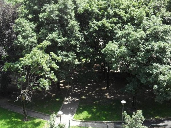 appartamento in affitto a Milano in zona Città Studi