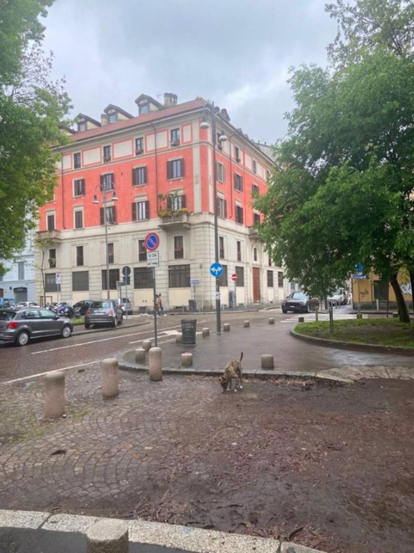 appartamento in affitto a Milano