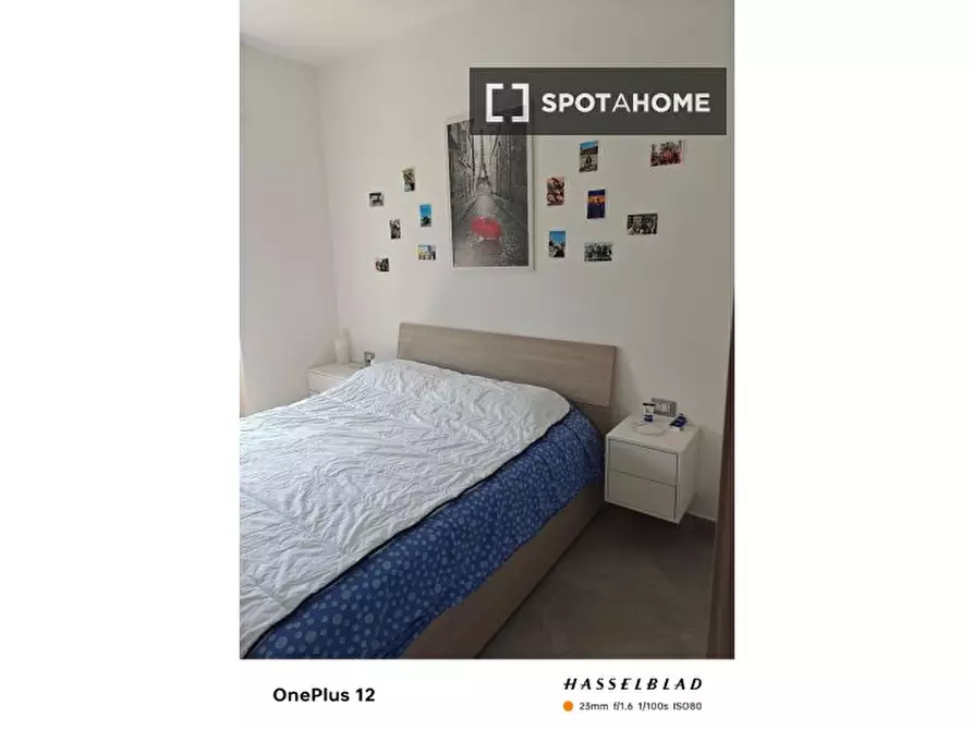 appartamento in affitto a Milano in zona Corvetto
