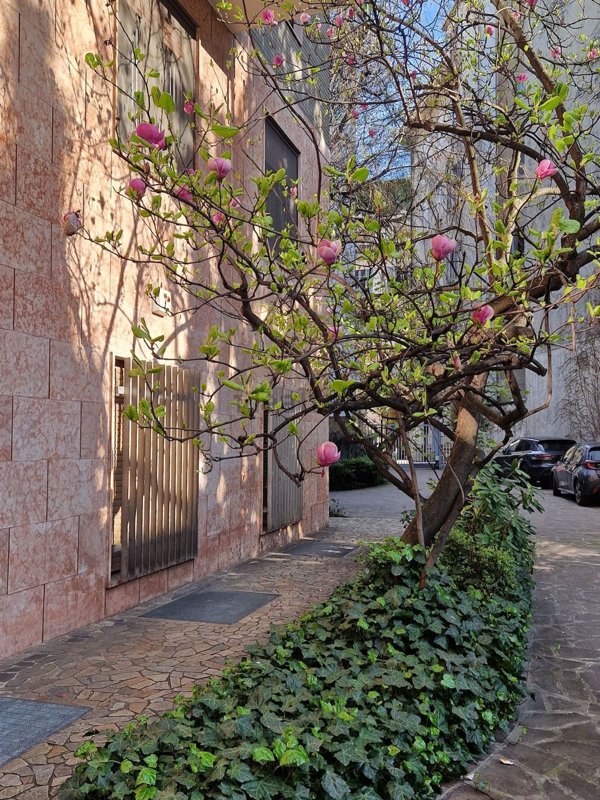 appartamento in affitto a Milano in zona Guastalla