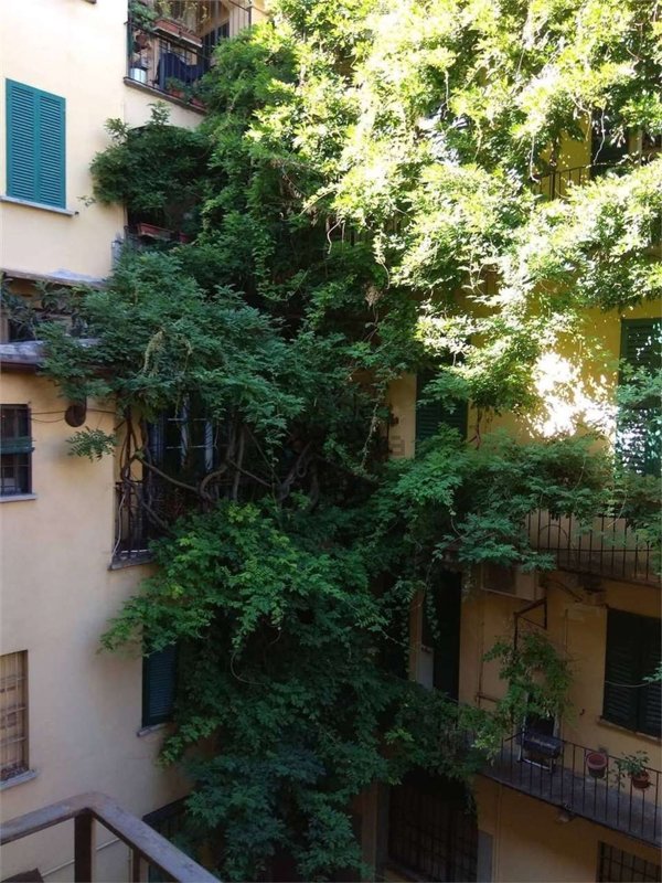 appartamento in affitto a Milano in zona Brera