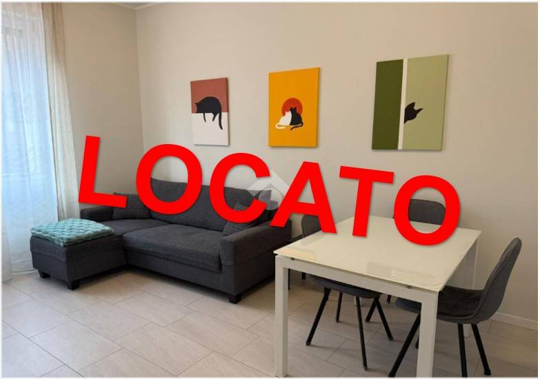 appartamento in affitto a Milano in zona Città Studi