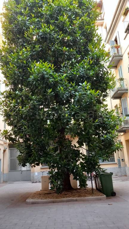 appartamento in affitto a Milano in zona Piazzale Lodi