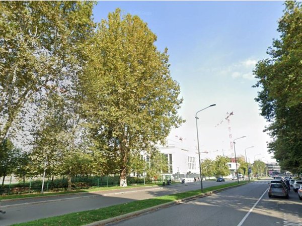 appartamento in affitto a Milano in zona Sempione