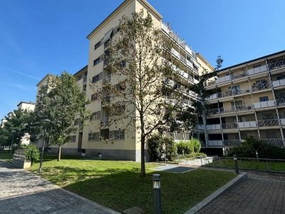 appartamento in affitto a Milano in zona Famagosta