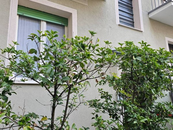 appartamento in affitto a Milano in zona Sempione