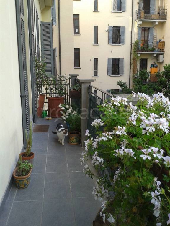 appartamento in affitto a Milano
