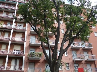 appartamento in affitto a Milano in zona Barona