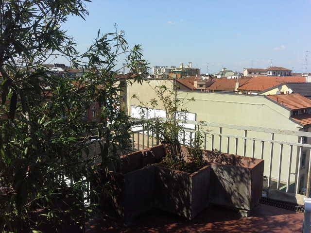 appartamento in affitto a Milano in zona Loreto