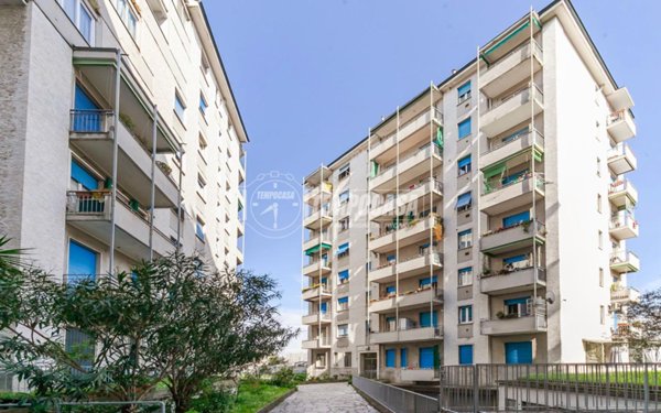 appartamento in affitto a Milano in zona Maggiolina