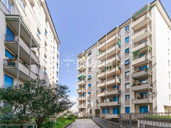 appartamento in affitto a Milano in zona Maggiolina