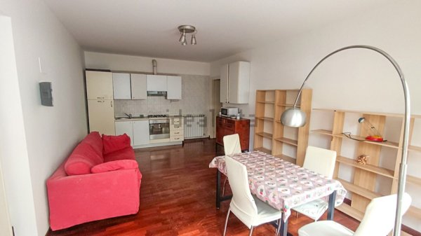 appartamento in affitto a Milano in zona Città Studi