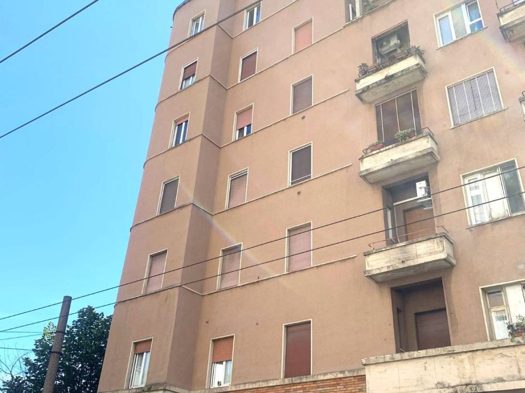 appartamento in affitto a Milano in zona Città Studi