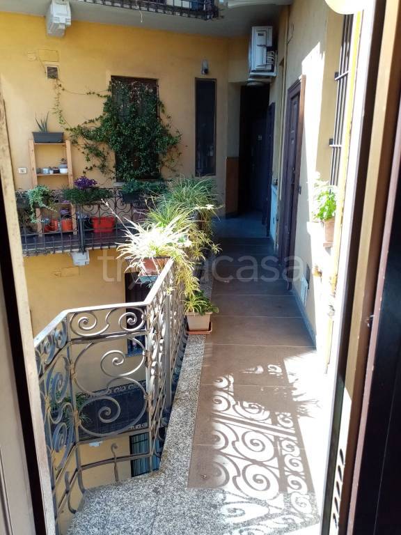 appartamento in affitto a Milano in zona Città Studi