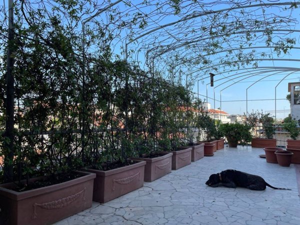 appartamento in affitto a Milano in zona Porta Venezia