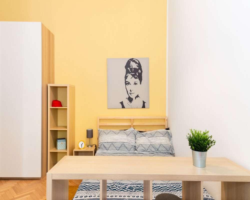 appartamento in affitto a Milano in zona Città Studi