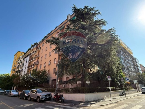 appartamento in affitto a Milano in zona Città Studi