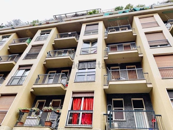 appartamento in affitto a Milano in zona Città Studi