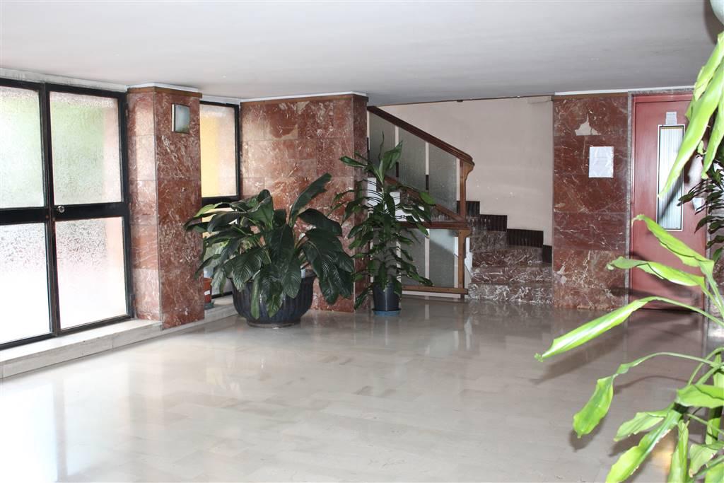 appartamento in affitto a Milano in zona Città Studi