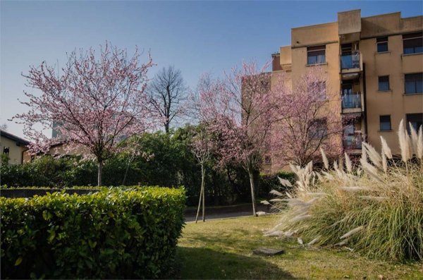 appartamento in affitto a Milano in zona Famagosta