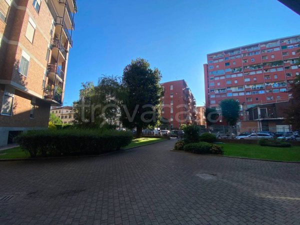 quadrivano in affitto a Milano in zona Città Studi