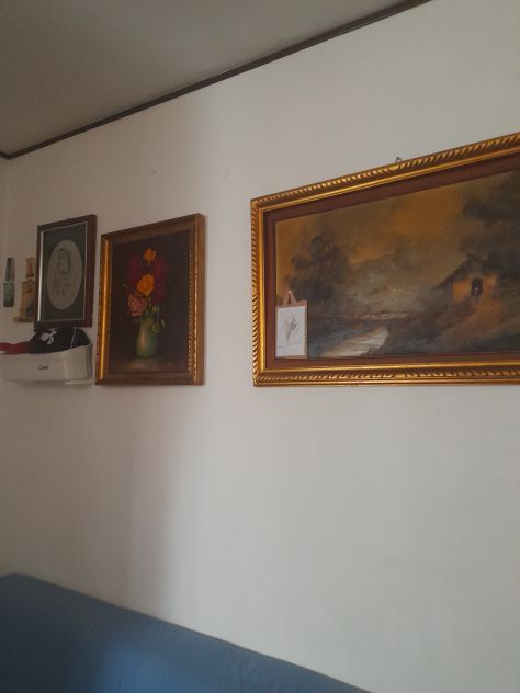 camera singola in affitto a Milano in zona Forze Armate