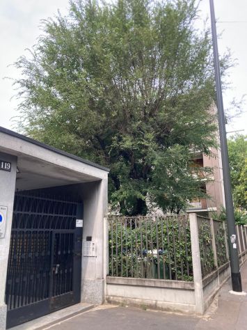 camera singola in affitto a Milano in zona Bovisa