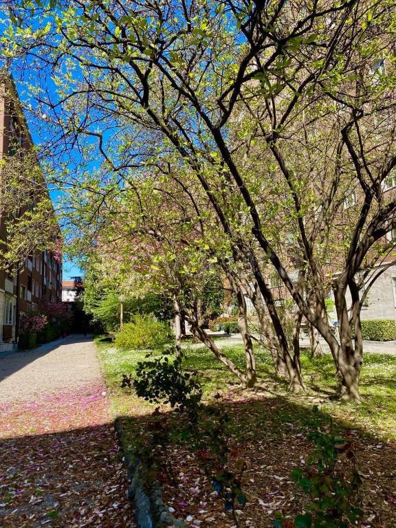 appartamento in affitto a Milano in zona Bocconi