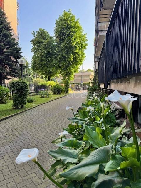 appartamento in affitto a Milano in zona Corvetto