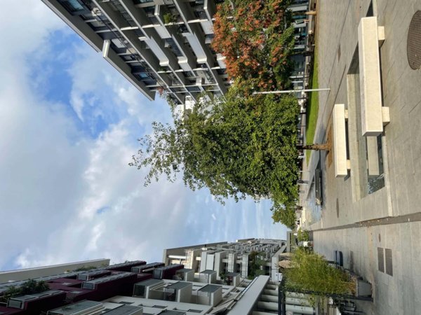 appartamento in affitto a Milano in zona Rogoredo