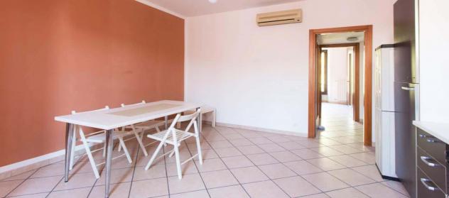 appartamento in affitto a Milano in zona Città Studi