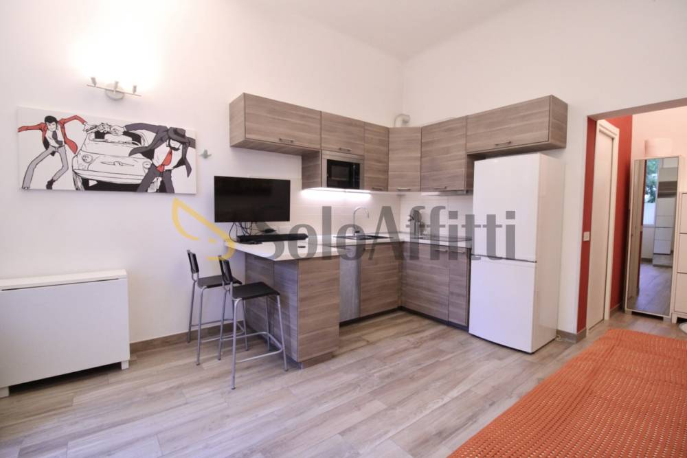 appartamento in affitto a Milano in zona Città Studi