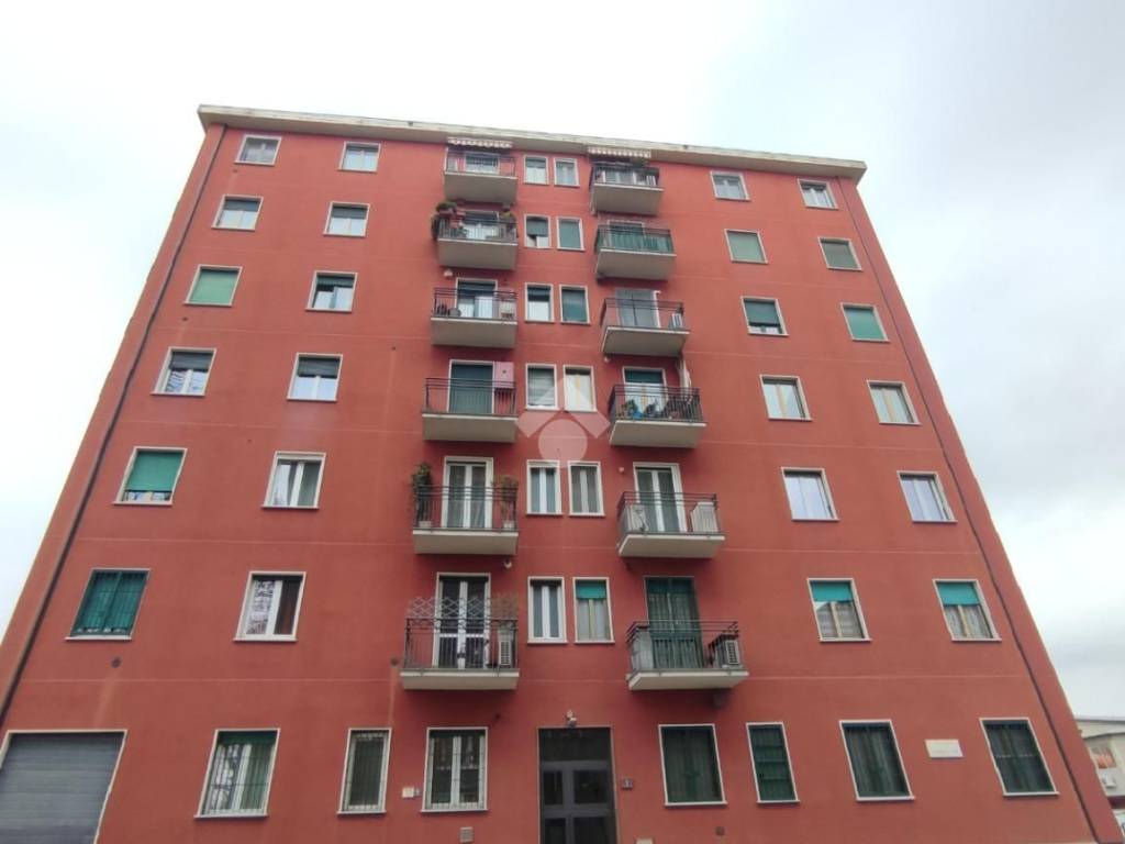 appartamento in affitto a Milano in zona Adriano