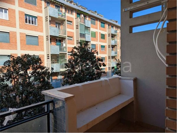 appartamento in affitto a Milano in zona Crescenzago