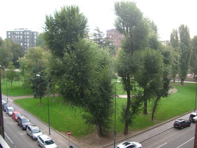 appartamento in affitto a Milano in zona Il Portello